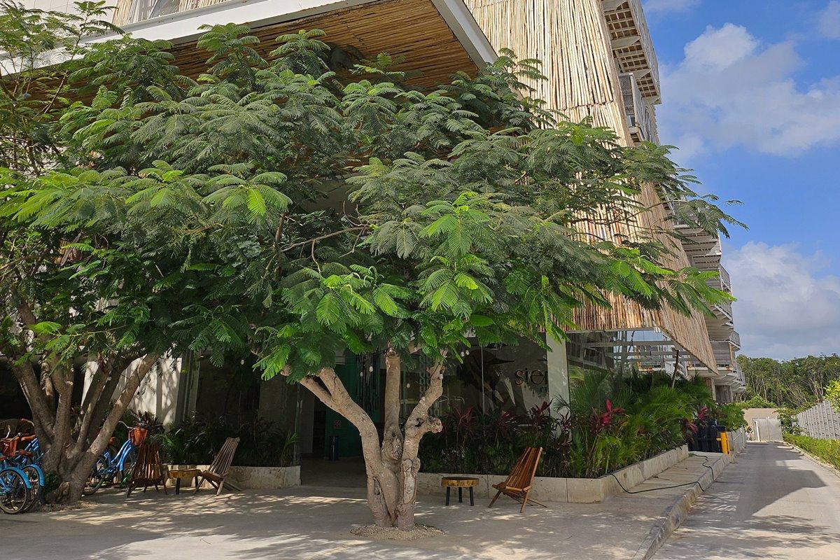 Siente Tulum 호텔 외부 사진